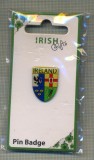 Y 1211 INSIGNA - IRELAND - IRLANDA -PENTRU COLECTIONARI