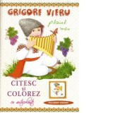 Citesc si colorez cu autocolante. Plaiul meu - Grigore Vieru