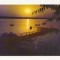 RF21 -Carte Postala- Eforie Sud, necirculata