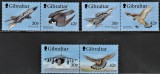 Gibraltar, fauna, pasari si avioane ( I ), 1999, perechi, MNH