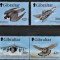 Gibraltar, fauna, pasari si avioane ( I ), 1999, perechi, MNH