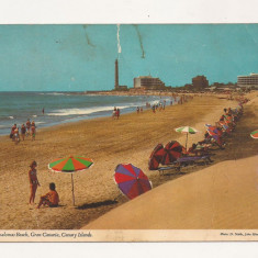 FA5 - Carte Postala - SPANIA - Gran Canaria, Maspalomas beach , necirculata