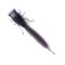 Năluca soft Fanatik X-Larva 4 inch culoare 007