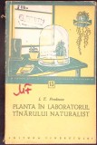 PLANTA IN LABORATORUL TANARULUI NATURALIST-I.T. PREDESCU-347502