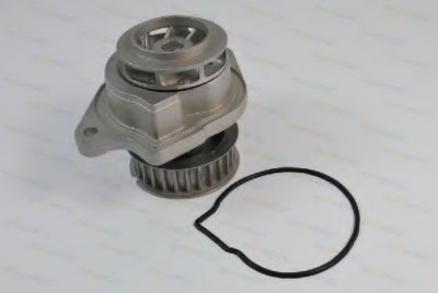 Pompa apa VW GOLF IV Variant (1J5) (1999 - 2006) THERMOTEC D1W019TT foto
