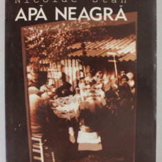 APA NEAGRA , roman de NICOLAE STAN , 1999 , DEDICATIE *