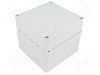 Carcasa policarbonat, 120mmx122mmx105mm, IP66, IP67, FIBOX - PC 121211