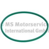 Garnitura capac rezervor Citroen Berlingo, Berlingo Berlingo First, Berlingo Multispace; Fiat Scudo, Ulysse; Lancia Zeta; Peugeot 206, 206 Cc, 206