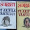 Pe aripile vantului- Continuarea