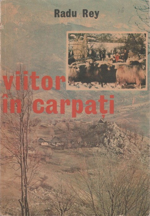 Radu Rey - Viitor in Carpati