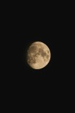 Tablou Canvas, "Luna strălucind &icirc;n noapte ad&acirc;ncă", Lună, Cer, &Icirc;ntuneric, Mister, Lumină, Toamnă, Frumusețe, 26 x 39 cm, CMCLASS