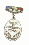 AMS# - INSIGNA FRUNTAS IN GOSPODARIREA COMUNEI 1979