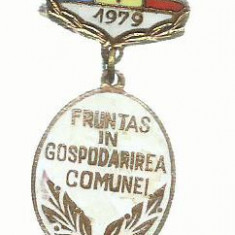 AMS# - INSIGNA FRUNTAS IN GOSPODARIREA COMUNEI 1979