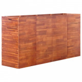 Strat Inălțat De Grădină 200 x 50 x 100 cm Lemn De Acacia 44027, General