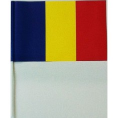 Stegulet Romania 16x24cm cu betisor