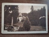 Sinaia - Palatul Pelisor.