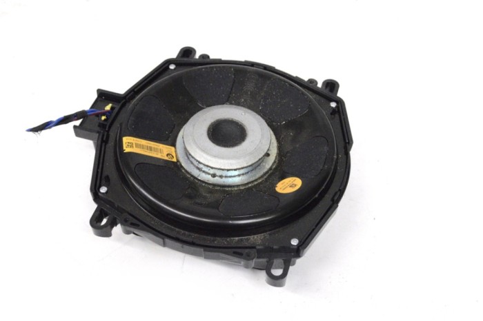 Subwoofer BMW X6 F16, F86 2016 OEM: 9247484 | 17178785
