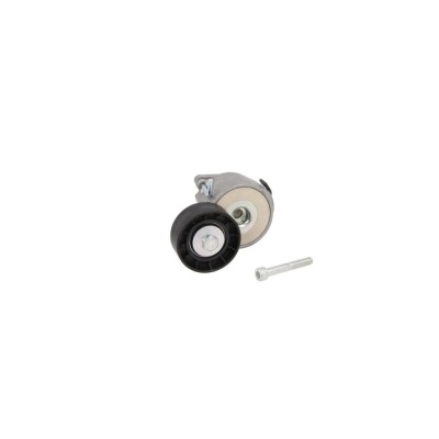 Intinzator curea FIAT DOBLO platou sasiu 263 DAYCO APV1156 foto