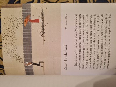 Elena Ferrante Inventii ocazionale foto