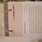 Elena Ferrante Inventii ocazionale
