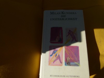 Die Unsterblichkeit - Kundera foto