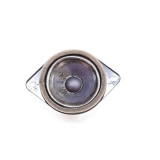 Difuzor ușă st&acirc;nga față FORD USA Mustang Mach-E 2022 OEM: jX7T-18808-DA 18808216