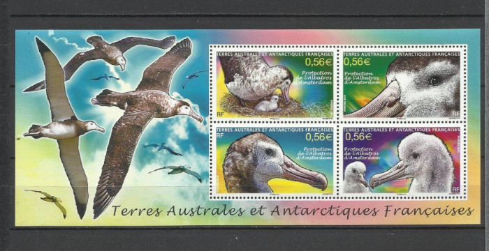 TERITORIILE FRANCEZE DIN ANTARCTICA TAAF 2010 FAUNA PASARI ALBATROSI