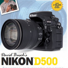 David Busch S Nikon D500 Guide to Digital Slr Photography