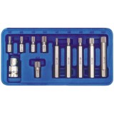 Vorel 66770 - Set capete de insurubare profil SPLINE 11 bucati