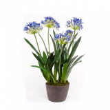 Agapanthus Artificial Albastru 75 cm 423612, General