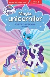 Cumpara ieftin My Little Pony. Magia unicornilor. Poveste cu litere mari de tipar (Nivelul 1)