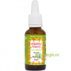 Solutie cu Propolis Pentru Aerosoli (Aerosoli fericiti) 30ml