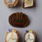Competitii sportive - Lot 5 bucati - insigna sport anii 1970 - RSR
