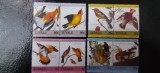 Tuvalu-Fauna,pasari-serie completa,nestampilate MNH (C1)