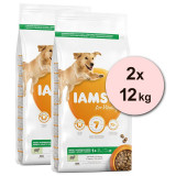 Iams Dog Adult Large Breed, Lamb 2 x 12 kg