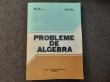 PROBLEME DE ALGEBRA- ION D. ION