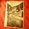 Ilustrata RPR Valea Jiului - Vedere circulat 1954 (julitura verso)