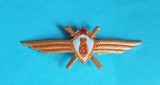 Insigna AVIATIE militara Internationala - Aviator - Pilot - categoria 3a