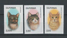 Guyana 1997 Mi 6038-40 - MNH, nestampilat - Pisici, animale, fauna foto