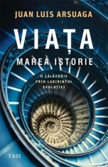 Viata. Marea Istorie - Trei