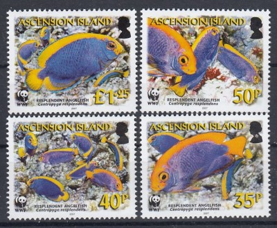 Ascension 2007 - Fauna WWF - PESTI - MNH foto