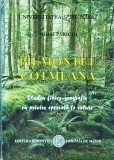 Mihai Parichi - Piemontul Cotmeana. Studiu fizico-geografic cu privire speciala
