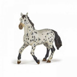 Papo Figurina Iapa Appaloosa Neagra