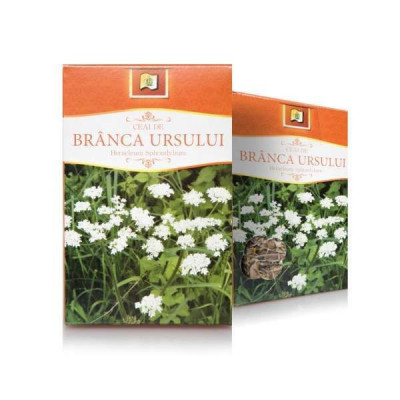 BRANCA URSULUI 50GR foto