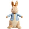 Jucarie din plus Peter Rabbit Once upon a time, 24 cm, Rainbow Designs
