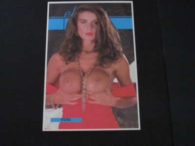 Carte Poștală Temă Erotică - Model Vicki , Modern 1993 foto