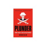 Plunder: Private Equity's Plan to Pillage America
