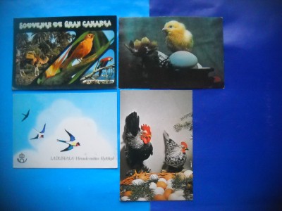 HOPCT LOT NR 1036 PASARI --FAUNA -4 CARTI POSTALE-CIRCULATE foto
