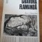 Gravura flamanda - Liza Damadian ; Editura. Meridiane ; Anul publicarii. 1978