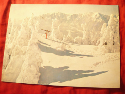 Ilustrata Predeal iarna circ. 1997 - Vedere spre Mtii Bucegi foto